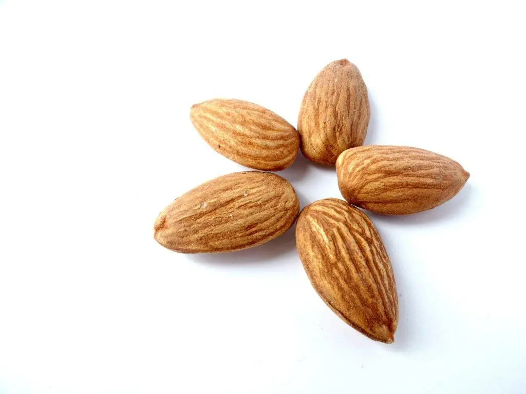 almond, meal, flower-1569246.jpg