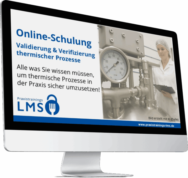 Online-Schulung thermische Validierung und Verifizierung – Schulung zu Validierung und Verifizierung von thermischen Prozessen.