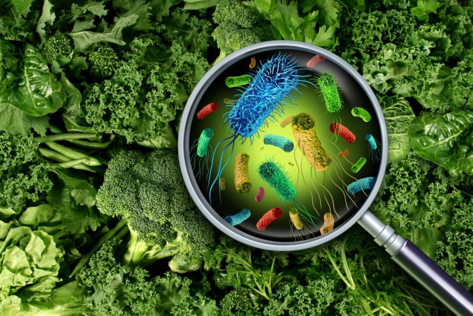 Virus e batteri su lattuga e verdure
