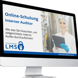 Schulung Interner Auditor-Praxistrainings-LMS-3D