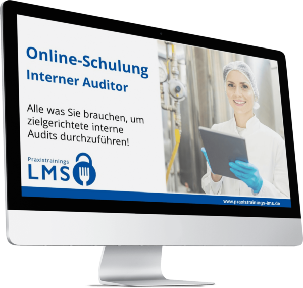 Schulung Interner Auditor-Praxistrainings-LMS-3D