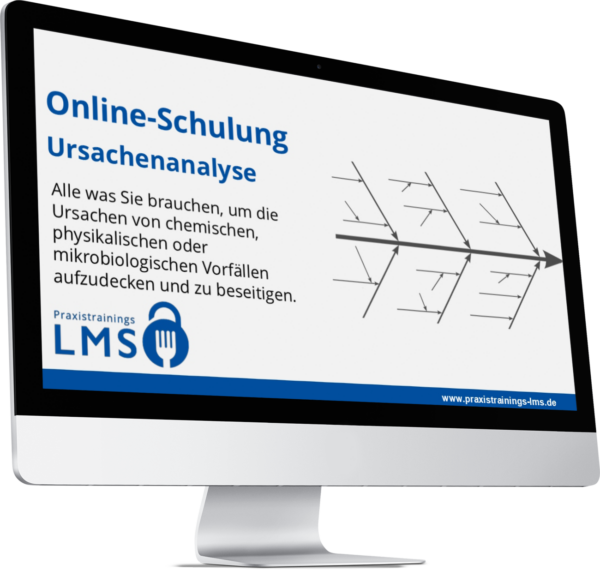 Ein Fischgrätendiagramm als Beispiel für eine bewährte Möglichkeit in der Ursachenanalyse