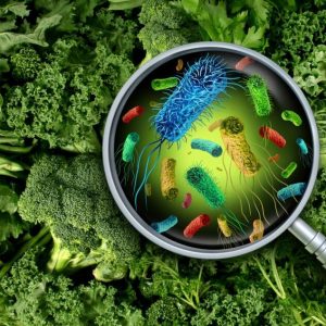 Batteri e virus su insalata e verdure
