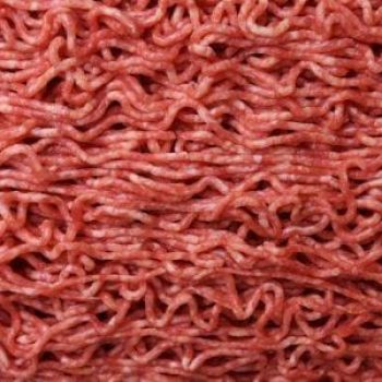 Schulung-LMHV-4-rohes-Hackfleisch